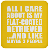 All I Care About Is My Flat-Coated Retriever - Drink Coaster