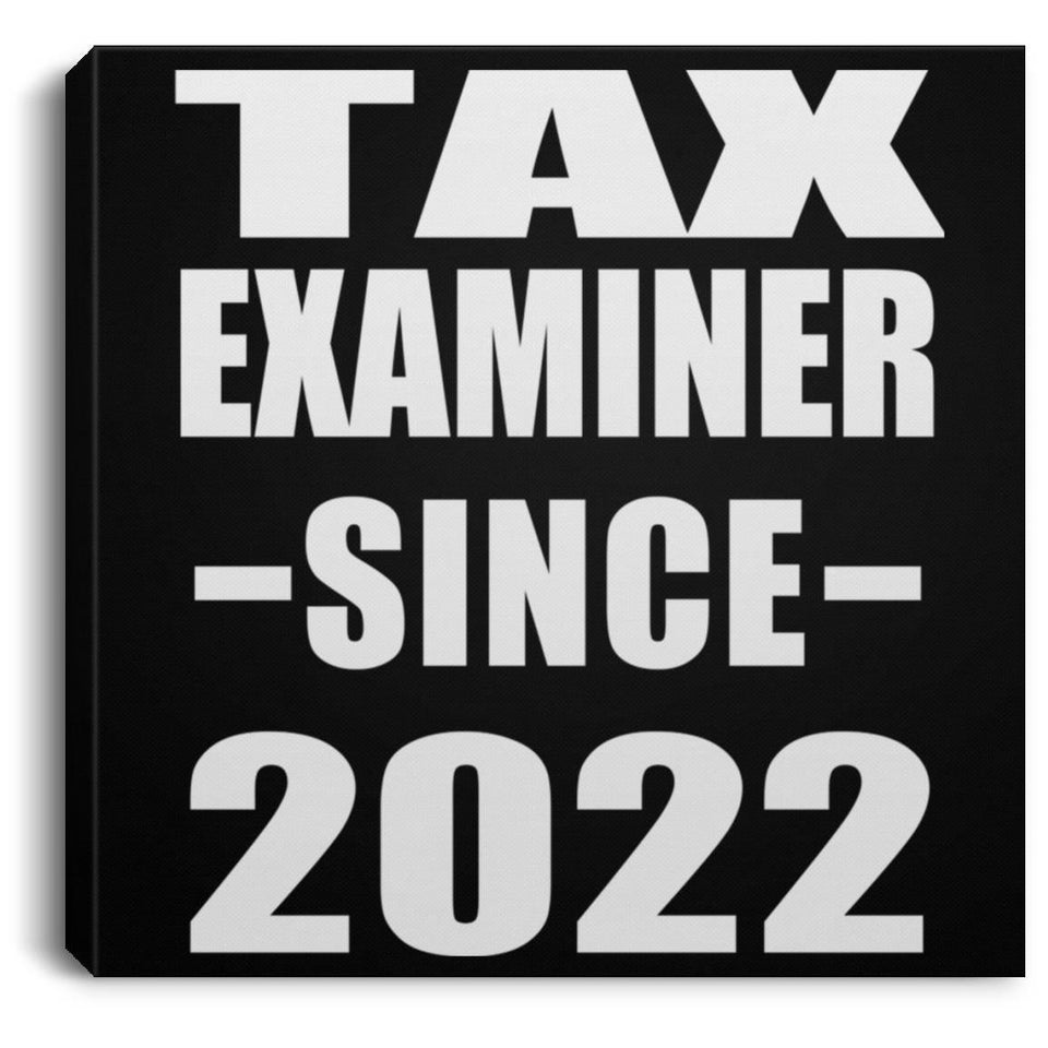 Tax Examiner Since 2022 - Canvas Square