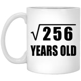 16th Birthday Square Root of 256 Years Old - 11oz Coffee Mug