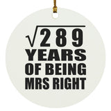 17th Anniversary Square Root of 289 Years of Being Mrs Right - Circle Ornament