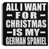 All I Want For Christmas Is My German Spaniel - Canvas Square