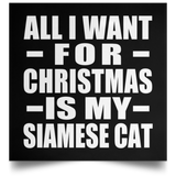 All I Want For Christmas Is My Siamese Cat - Poster Square