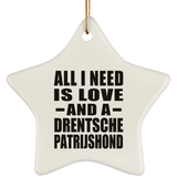 All I Need Is Love And A Drentsche Patrijshond - Star Ornament