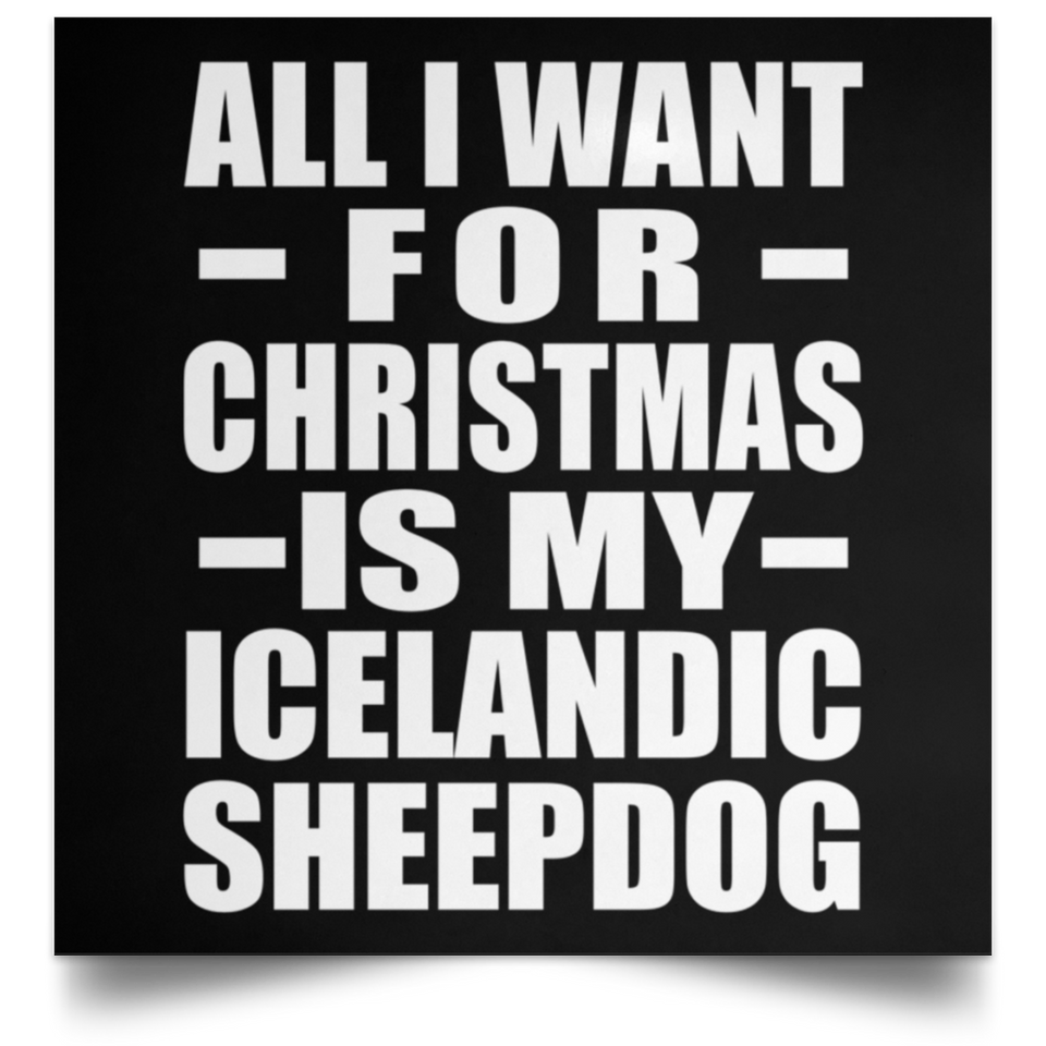 All I Want For Christmas Is My Icelandic Sheepdog - Poster Square