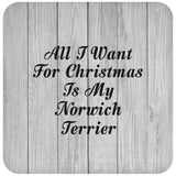 All I Want For Christmas Is My Norwich Terrier - Drink Coaster F
