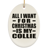 All I Want For Christmas Is My Collie - Oval Ornament