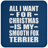 All I Want For Christmas Is My Smooth Fox Terrier - Coaster
