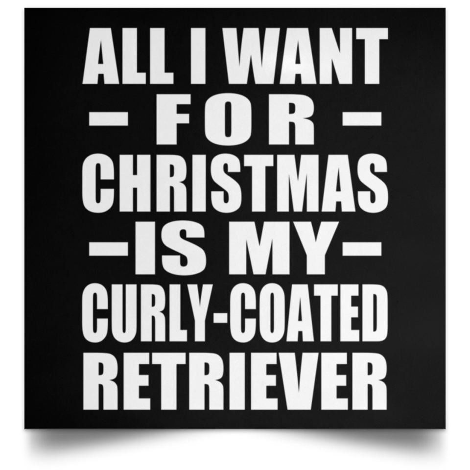 All I Want For Christmas Is My Curly-Coated Retriever - Poster Square