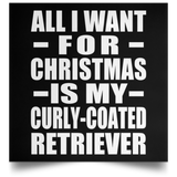 All I Want For Christmas Is My Curly-Coated Retriever - Poster Square