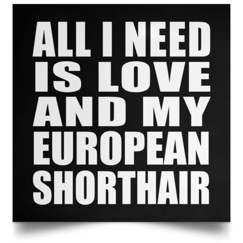 All I Need Is Love And My European Shorthair - Poster Square