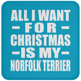 All I Want For Christmas Is My Norfolk Terrier - Coaster