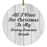 All I Want For Christmas Is My Treeing Tennessee Brindle - Circle Ornament F