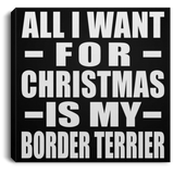 All I Want For Christmas Is My Border Terrier - Canvas Square