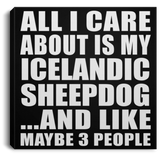 All I Care About Is My Icelandic Sheepdog - Canvas Square