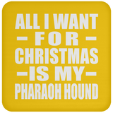 All I Want For Christmas Is My Pharaoh Hound - Coaster
