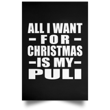 All I Want For Christmas Is My Puli - Poster Portrait