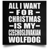 All I Want For Christmas Is My Czechoslovakian Wolfdog - Poster Square
