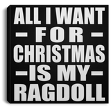 All I Want For Christmas Is My Ragdoll - Canvas Square