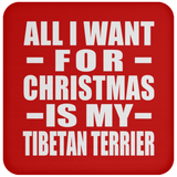 All I Want For Christmas Is My Tibetan Terrier - Coaster
