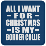 All I Want For Christmas Is My Border Collie - Coaster