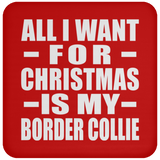 All I Want For Christmas Is My Border Collie - Coaster