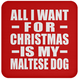 All I Want For Christmas Is My Maltese Dog - Coaster