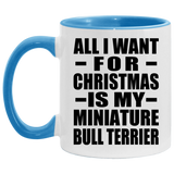 All I Want For Christmas Is My Miniature Bull Terrier - 11oz Accent Mug Blue