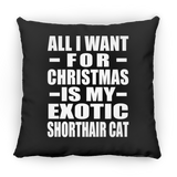 All I Want For Christmas Is My Exotic Shorthair Cat - Throw Pillow Black