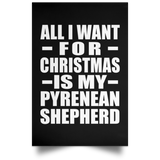 All I Want For Christmas Is My Pyrenean Shepherd - Poster Portrait