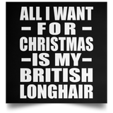 All I Want For Christmas Is My British Longhair - Poster Square