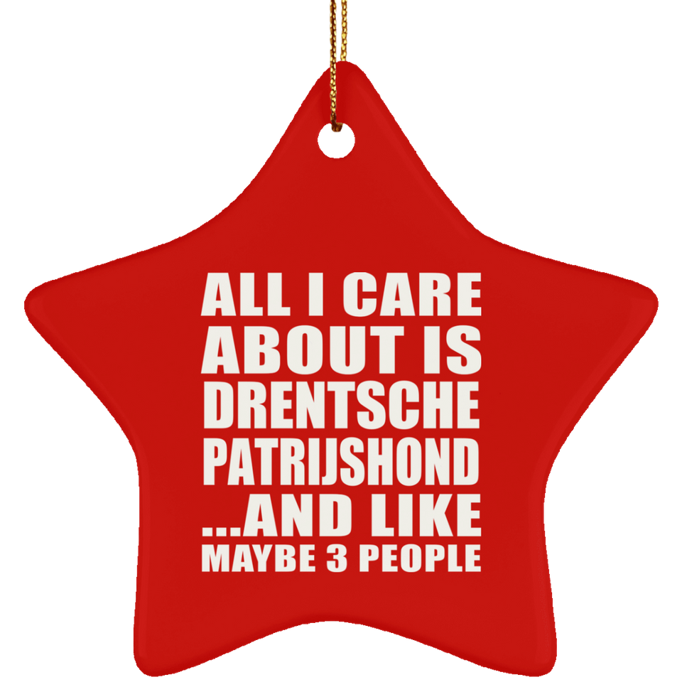 All I Care About Is Drentsche Patrijshond - Star Ornament