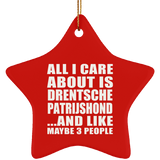 All I Care About Is Drentsche Patrijshond - Star Ornament