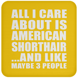 All I Care About Is American Shorthair - Drink Coaster