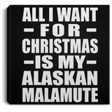 All I Want For Christmas Is My Alaskan Malamute - Canvas Square