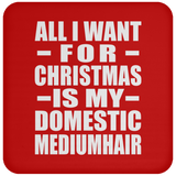 All I Want For Christmas Is My Domestic Mediumhair - Coaster