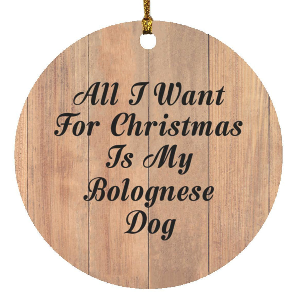 All I Want For Christmas Is My Bolognese Dog - Circle Ornament C