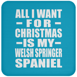 All I Want For Christmas Is My Welsh Springer Spaniel - Coaster