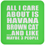 All I Care About Is Havana Brown Cat - Drink Coaster