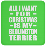All I Want For Christmas Is My Bedlington Terrier - Coaster