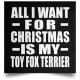 All I Want For Christmas Is My Toy Fox Terrier - Poster Square