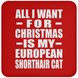 All I Want For Christmas Is My European Shorthair Cat - Coaster