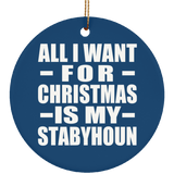 All I Want For Christmas Is My Stabyhoun - Circle Ornament