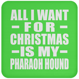 All I Want For Christmas Is My Pharaoh Hound - Coaster