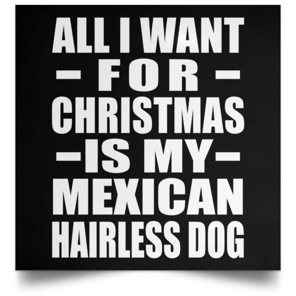 All I Want For Christmas Is My Mexican Hairless Dog - Poster Square