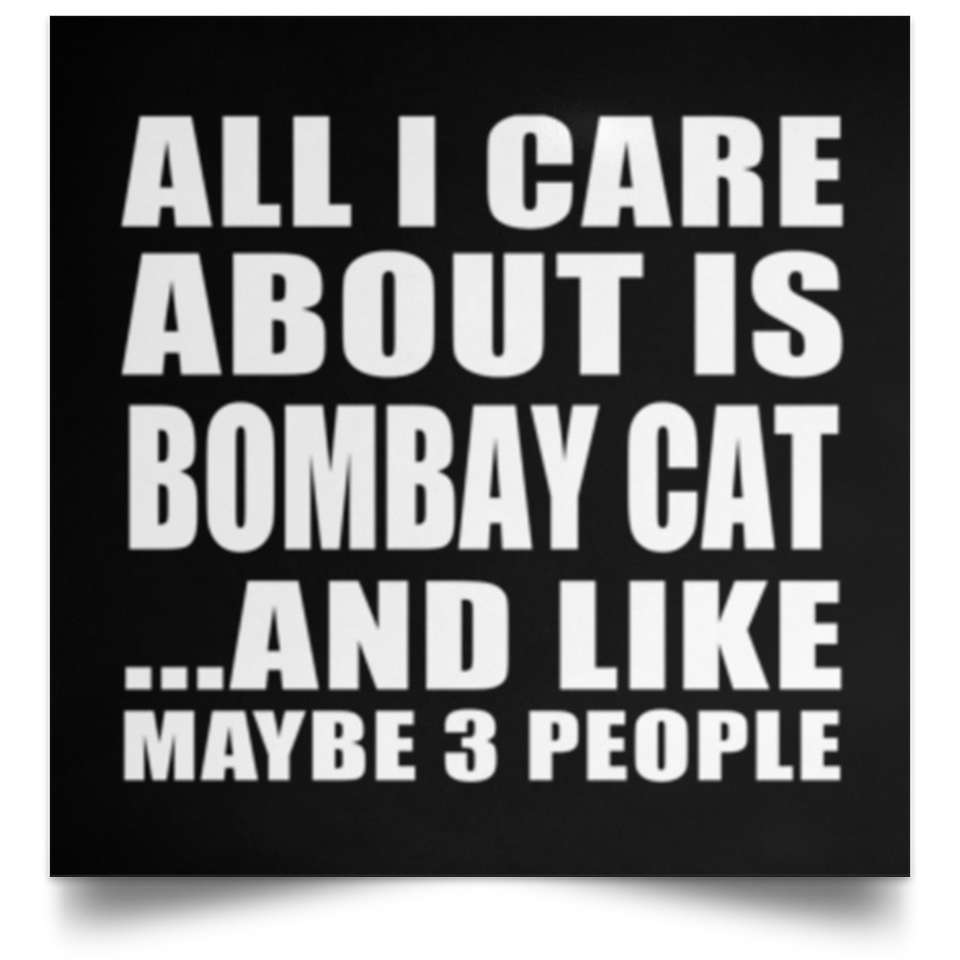 All I Care About Is Bombay Cat - Poster Square