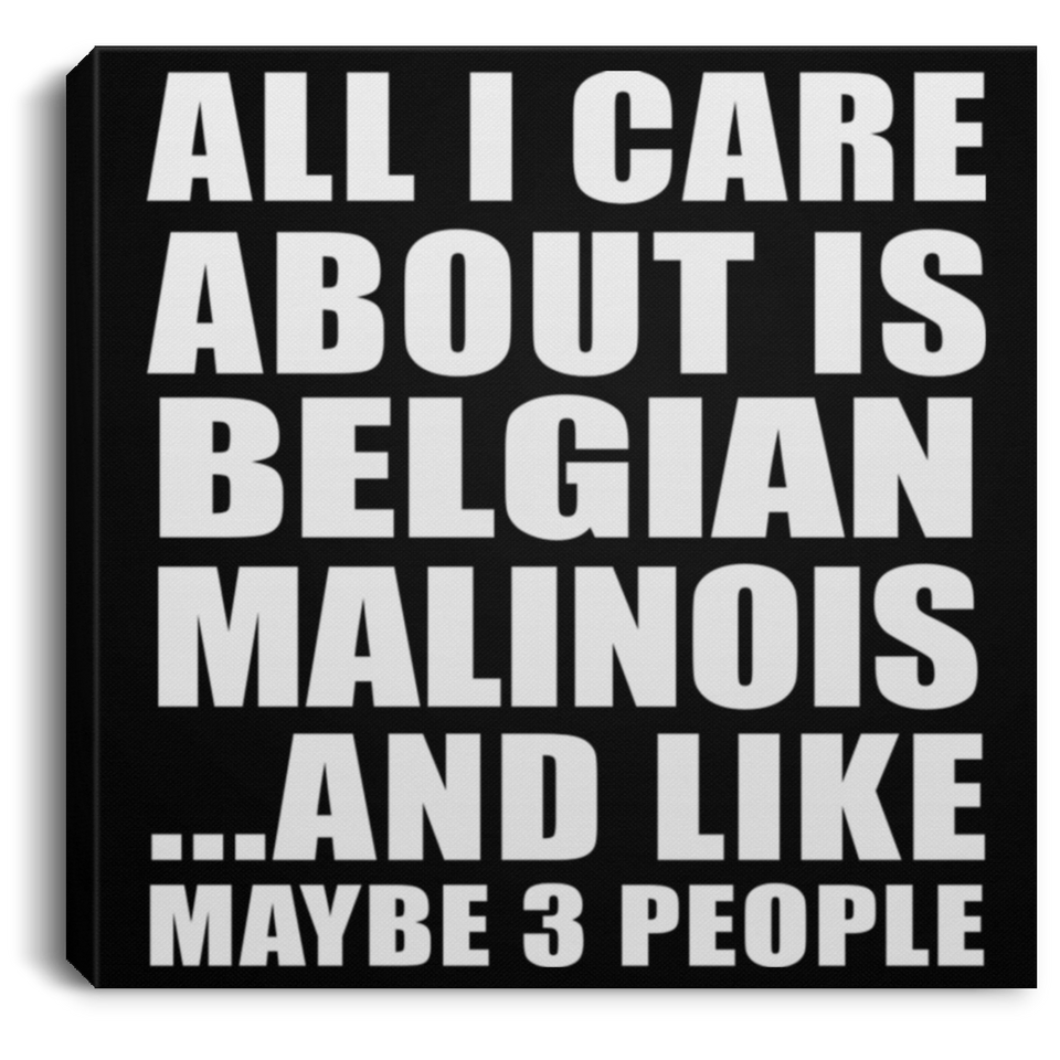 All I Care About Is Belgian Malinois - Canvas Square
