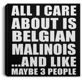 All I Care About Is Belgian Malinois - Canvas Square