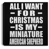 All I Want For Christmas Is My Miniature American Shepherd - Canvas Square