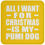 All I Want For Christmas Is My Pumi Dog - Coaster