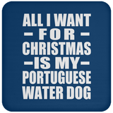 All I Want For Christmas Is My Portuguese Water Dog - Coaster
